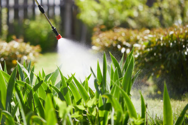 24/7 Emergency Wasp Removal experts in Greilickville, MI