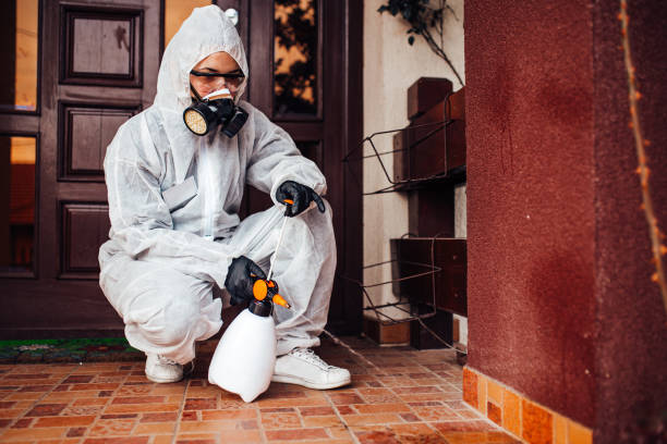 Reliable Wasp Removal contractor in Greilickville, MI by Show Me Pest Control